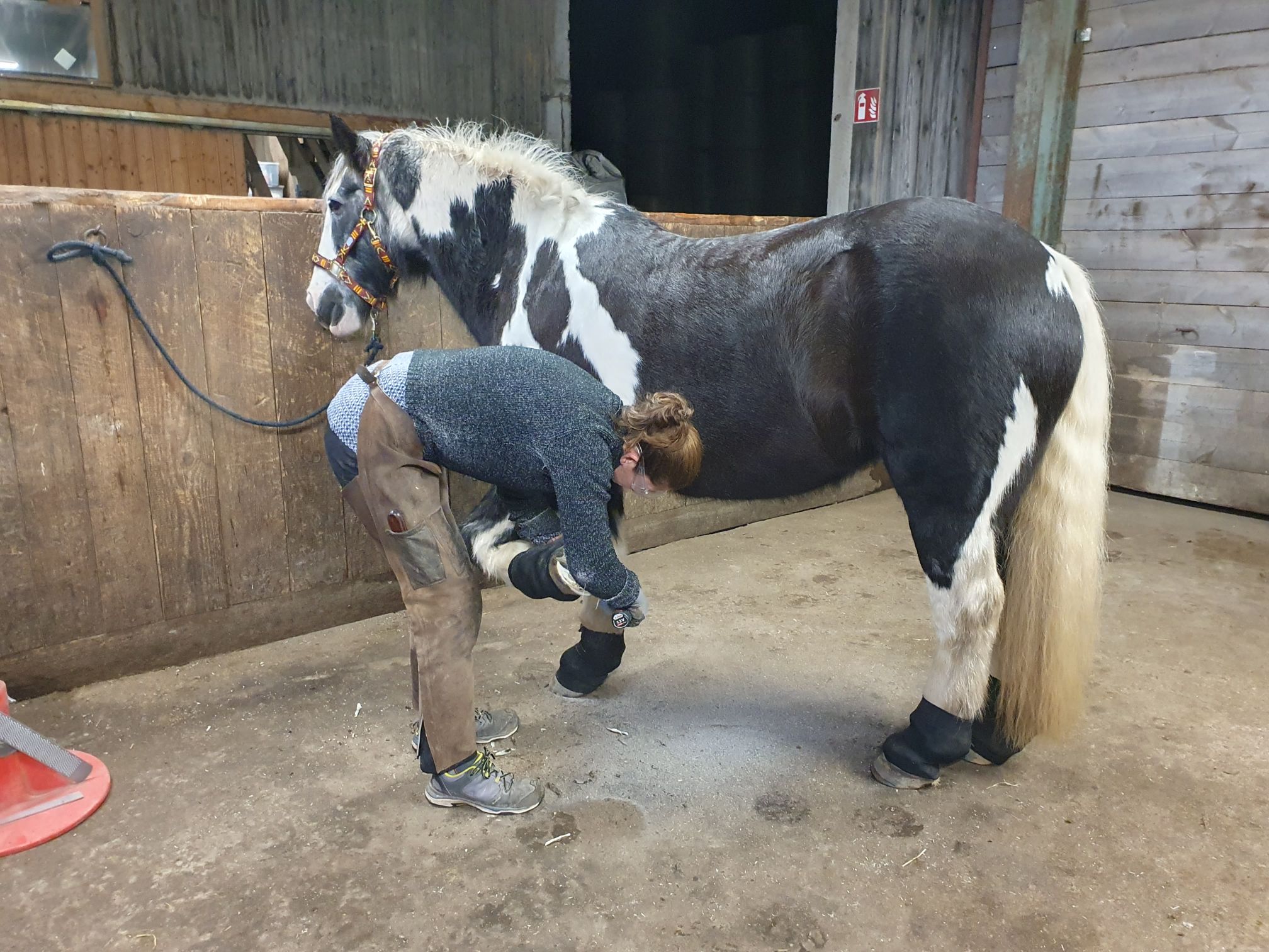 2023 12 Dezember 644